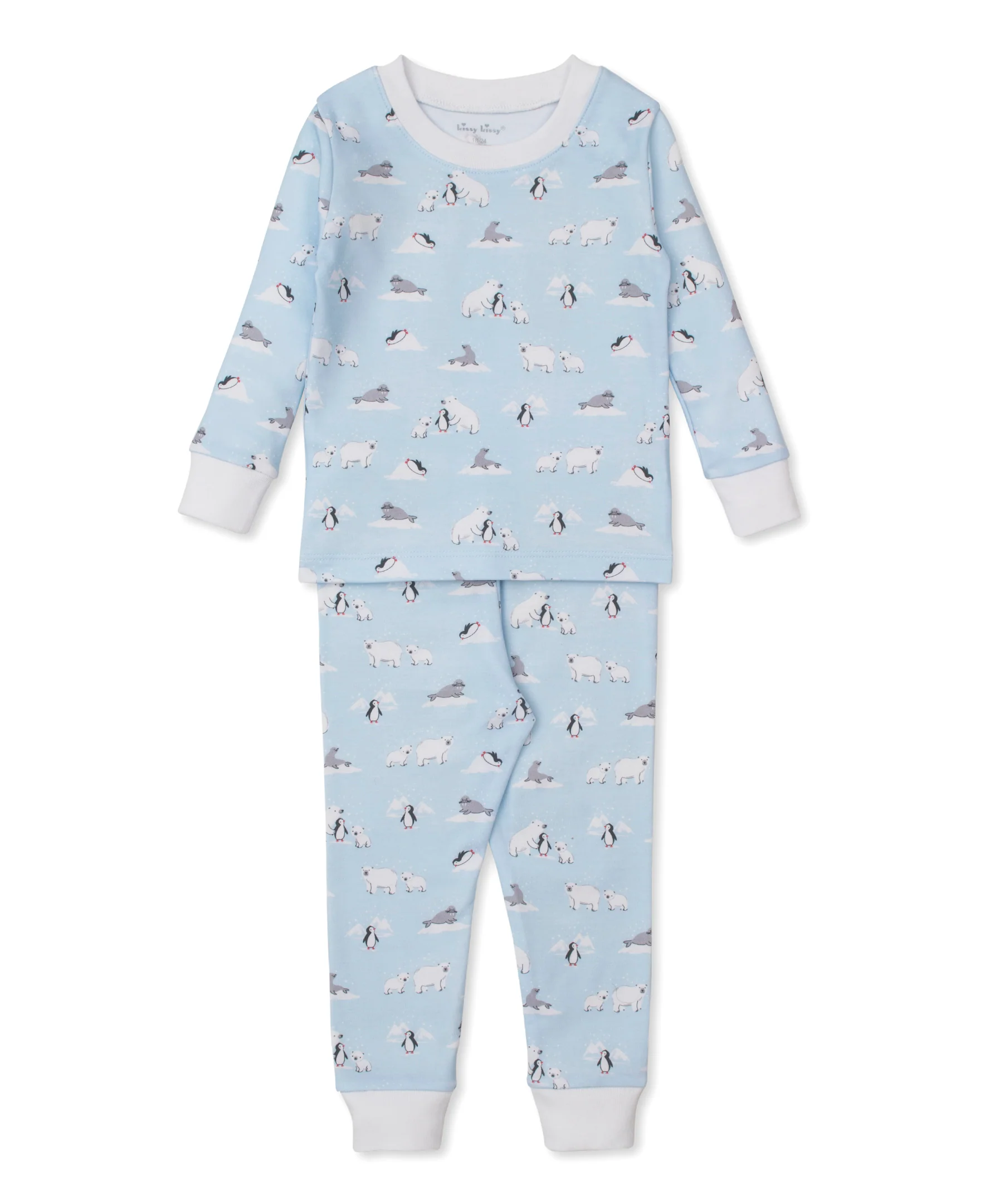Arctic Awe Toddler Pajama Set